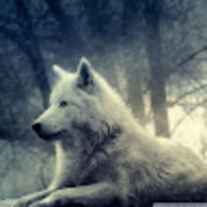 Meet your Posher, Simon